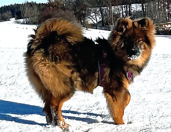 Foto von Horst Weber_edited.jpg