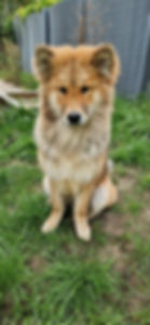 IMG-20230822-WA0000