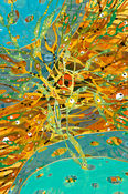 Peinture et dessin numériques
ART NUMÉRIQUE
DIGITAL ART