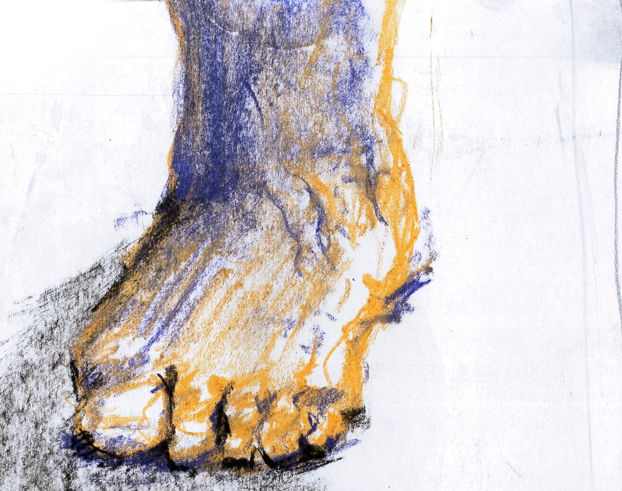 Blue Foot