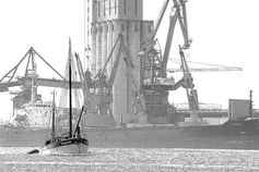 Graveries
Comme des gravures
Photographie modifiée