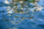 Photo-0563-04—150 dpi-RVB-900 x 600 mm