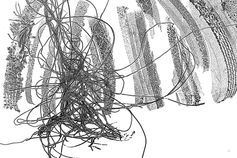 Graveries
Comme des gravures
Photographie modifiée