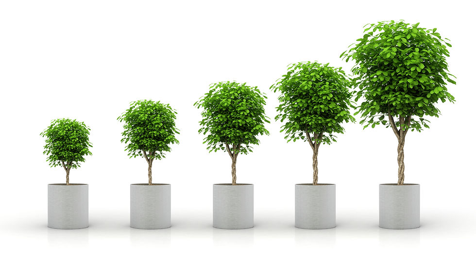Miracle Grow