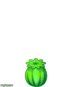 Flower-growing.gif