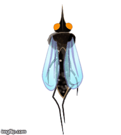Mosquito.gif