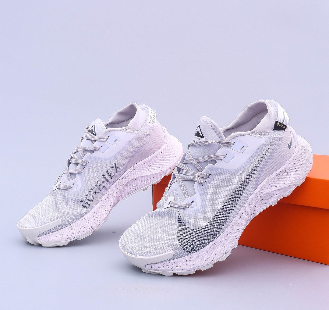 防水Nike Pegasus Trail 2 Gore-Tex Pure 