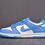 縮圖：Nike Dunk Low Coast DD1503-100