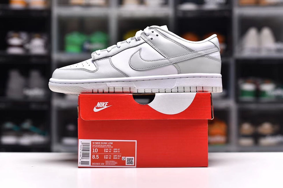 縮圖：Nike Dunk Low Photon Dust DD1503-103