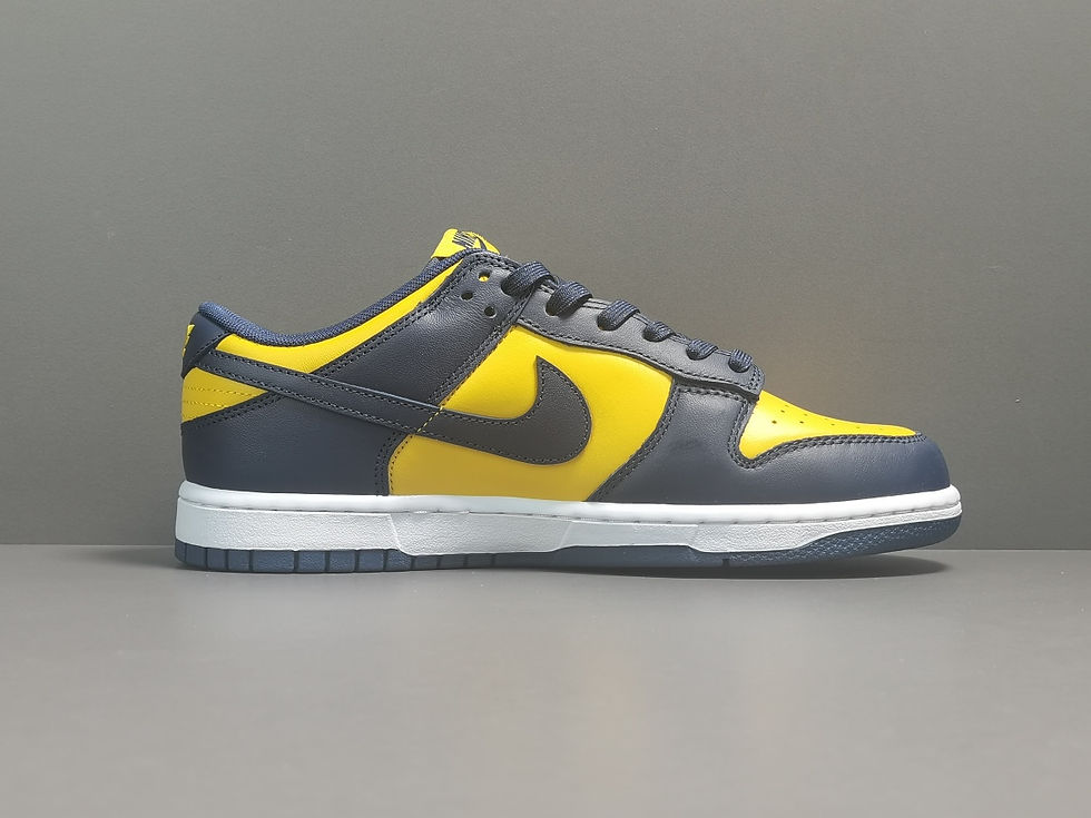 縮圖：Nike Dunk Low Michigan DD1391-700