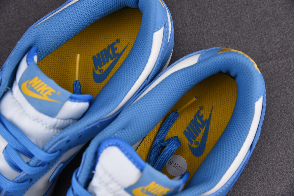 縮圖：Nike Dunk Low Coast DD1503-100