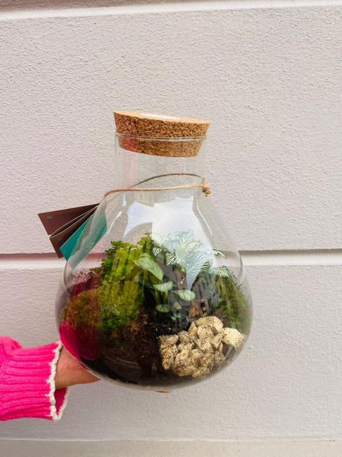 Terrarium rustico