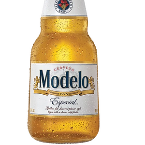 MODELO