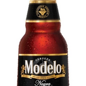 MODELO OBSCURA