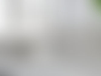 Des matériaux nobles et durables à Montréal