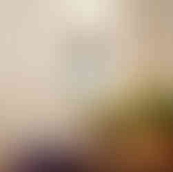 Leather journal with colored cat lotus yin-yang illustration