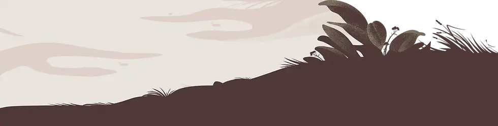 Bg TDV 2.webp
