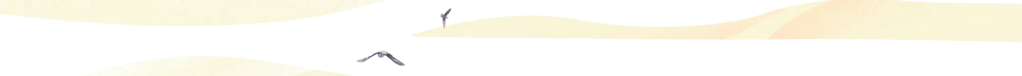 After_Illustration_bg7_tr 1 (1).webp