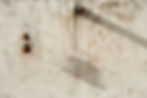 CF2373 copie.jpg