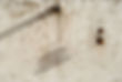 CF2373.jpg