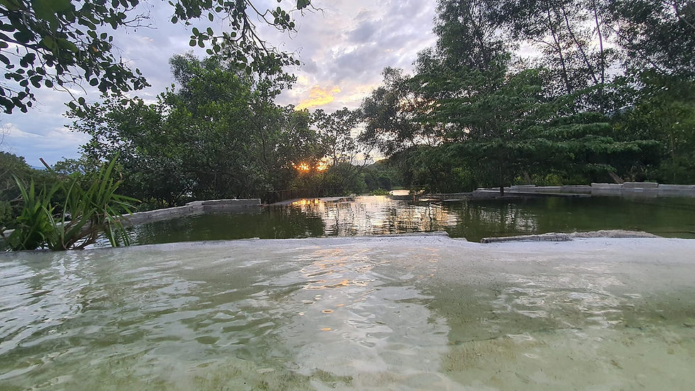 View đón bình minh