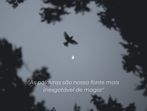 O Encanto InvisÃvel das Palavras