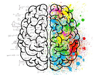Neuroplasticidade e Inteligência: qual é a relação entre eles?