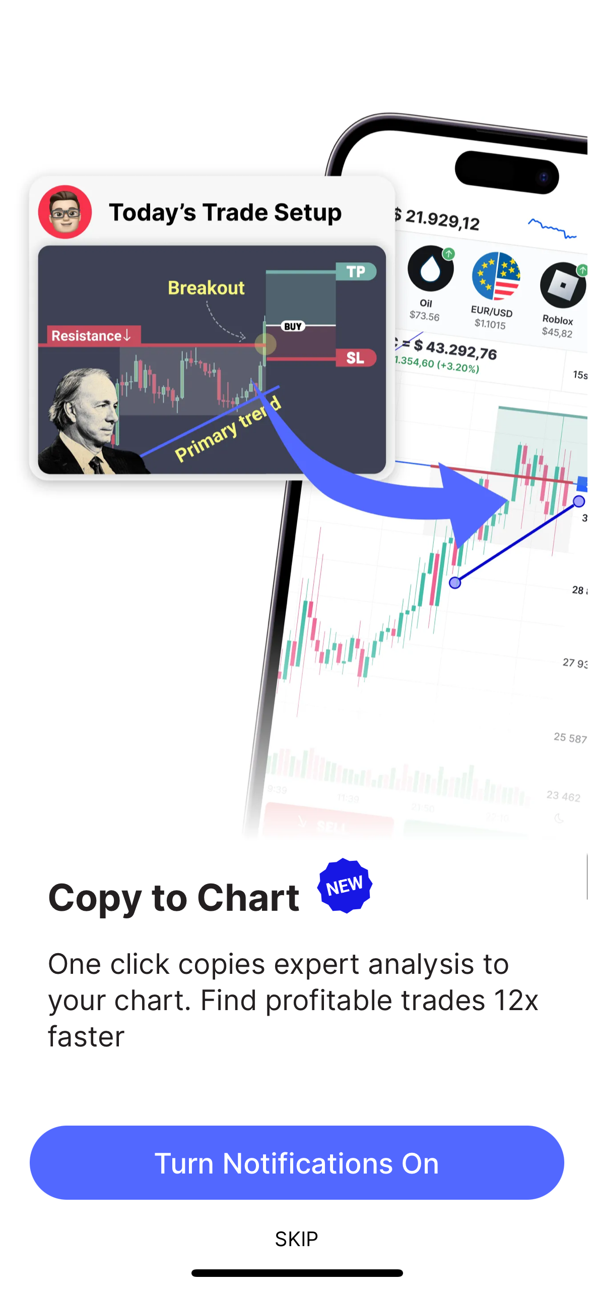 copia-nel-grafico.PNG