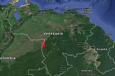 herkunft D.leucomeals puerto ayacucho.png
