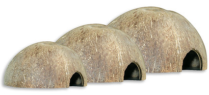 Kokus nuss halbschalen.jpg