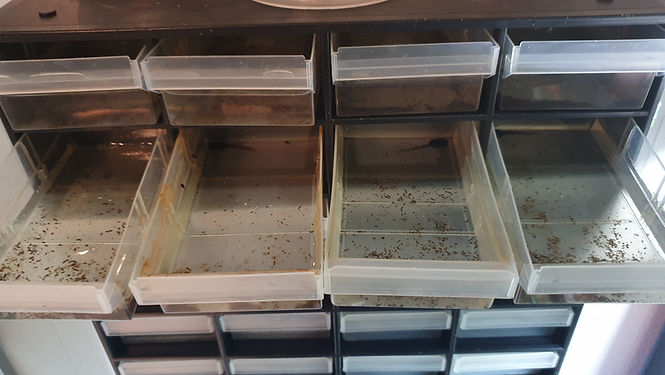 Quappenanlage Sortiersystem