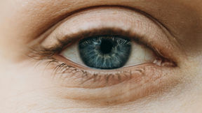 Avenir de l'IA au service du dépistage en santé visuelle : une réflexion collective et un livre blanc visant à éclairer les acteurs du domaine