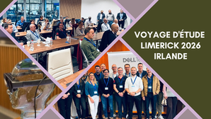 Voyage d'étude Limerick Irlande DSI