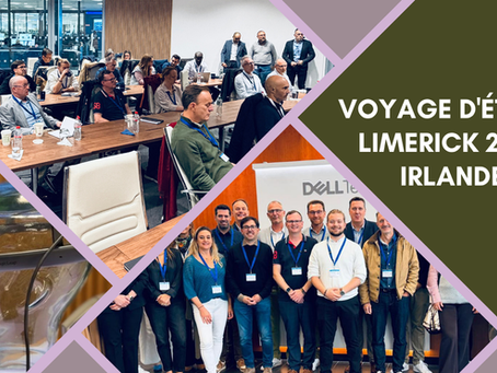 Voyage d'étude Limerick Irlande DSI
