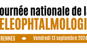 J-2 : Nous avons hâte d'accueillir les 250 participants à cette journée exceptionnelle dédiée à la e-santé visuelle !