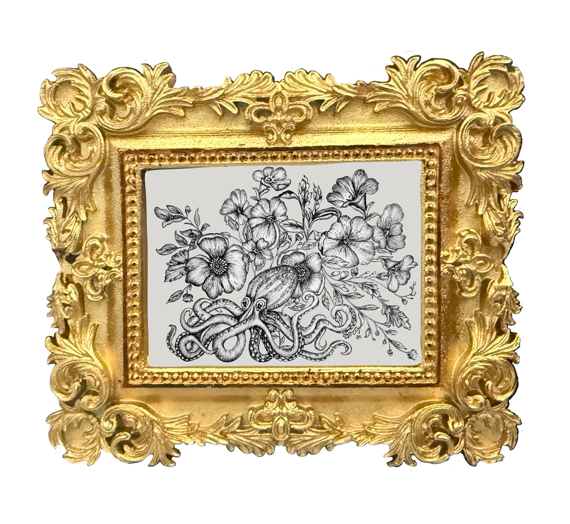 Pulpo, Mini Collectible Frame