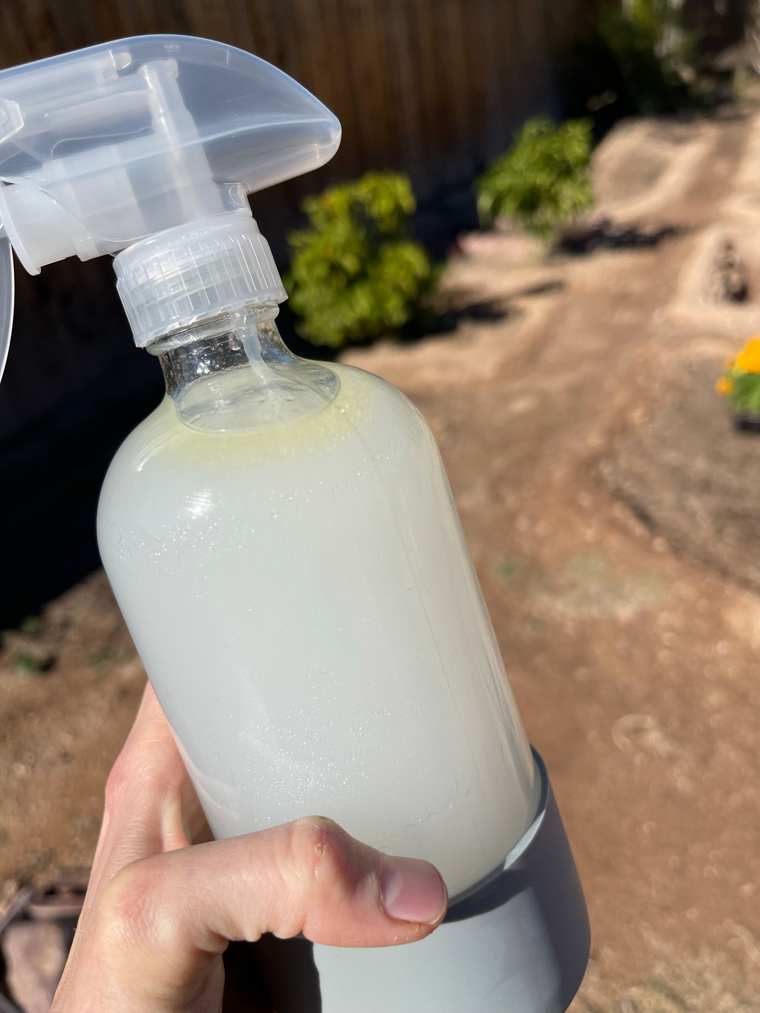 Plant Spray 1 - Magic Plant Spray