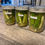 Thumbnail: Dill Pickles