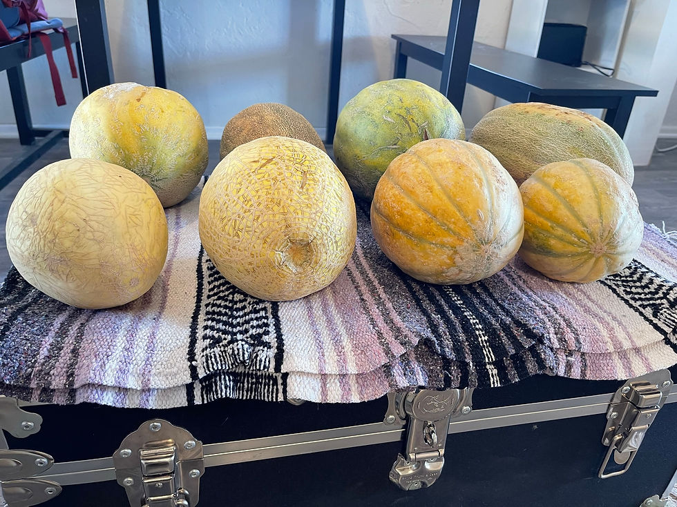 Thumbnail: Melons
