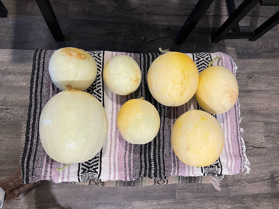 Thumbnail: Melons