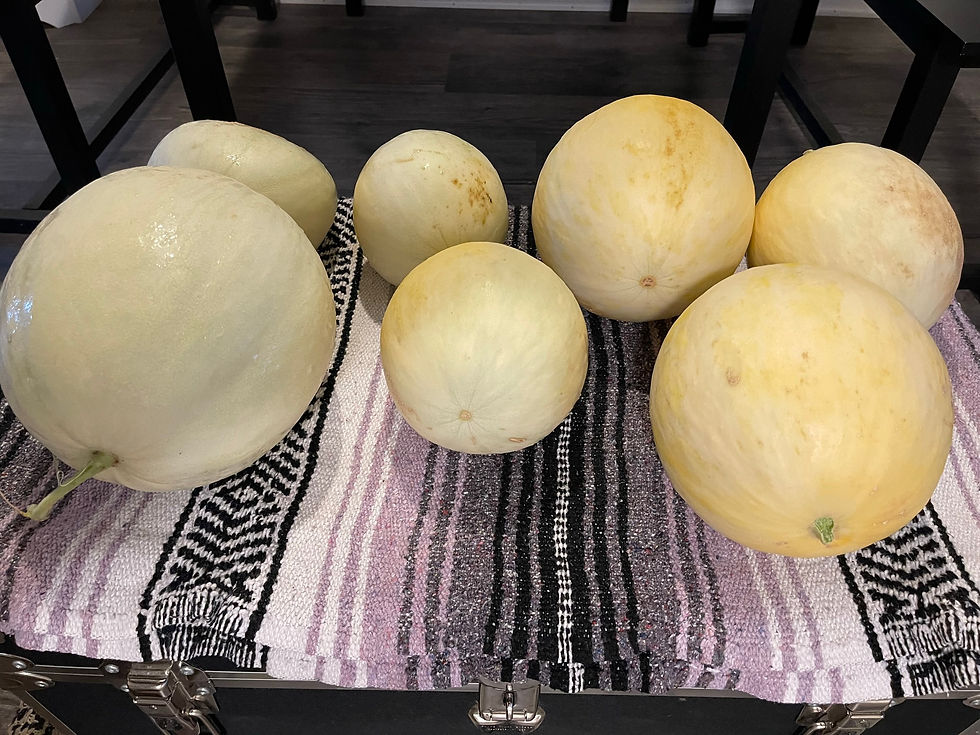 Thumbnail: Melons