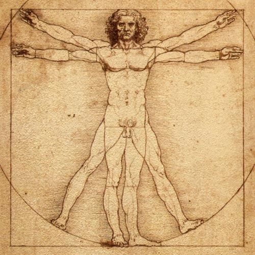 PRÁCTICA DE LA FORMA