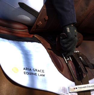 Top 5 red flags when buying a horse: an equine lawyer’s view