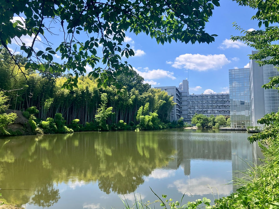 大阪大学