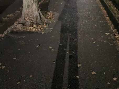 私の「やりたい」の交差点