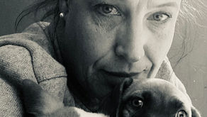 Rescue. Love. Rehome. My 160 days in shelter.