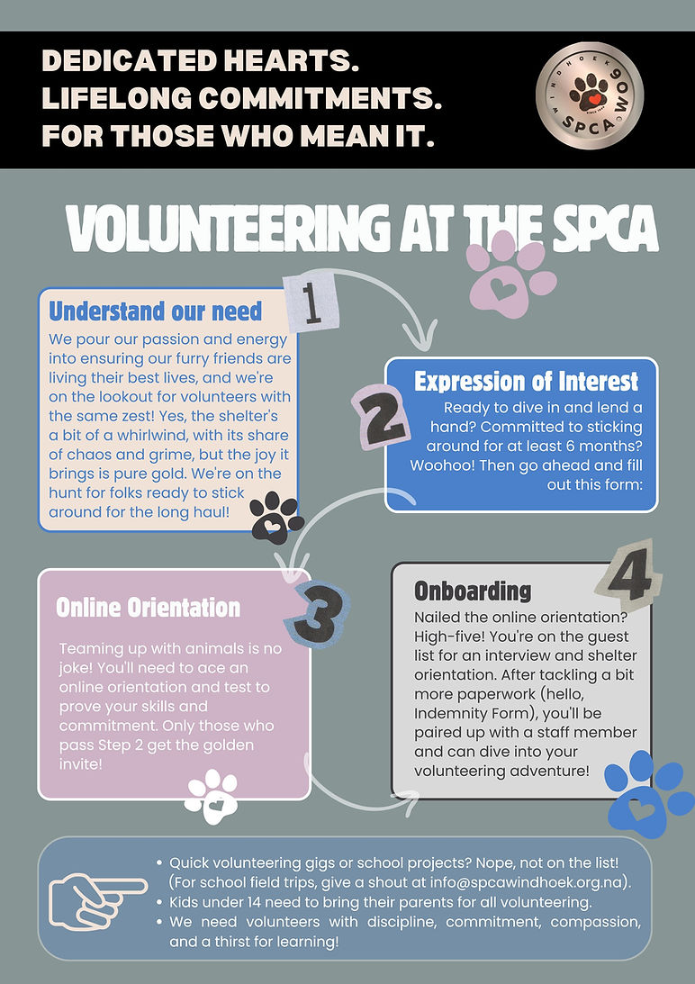 Volunteer Poster-4.jpg