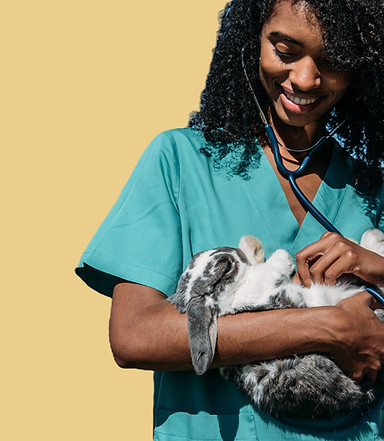Veterinarian Examining a Bunny_edited.jp