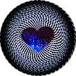 photostudio_1641856525647.png