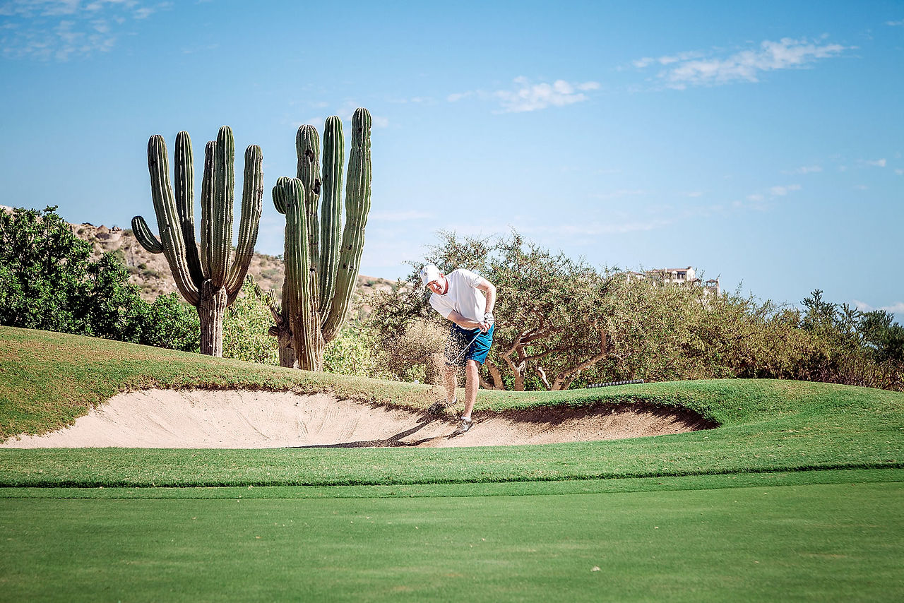 palmilla-18